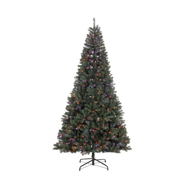 Tall pre-lit fir with colourful lights