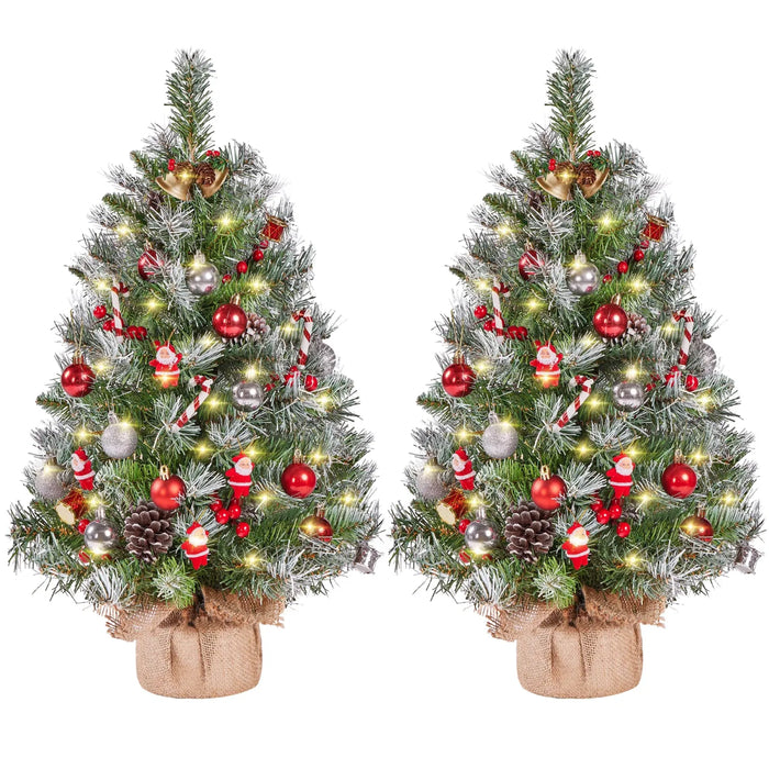 Harwelton Set of 2 Frosted Tabletop Christmas Trees with Lights