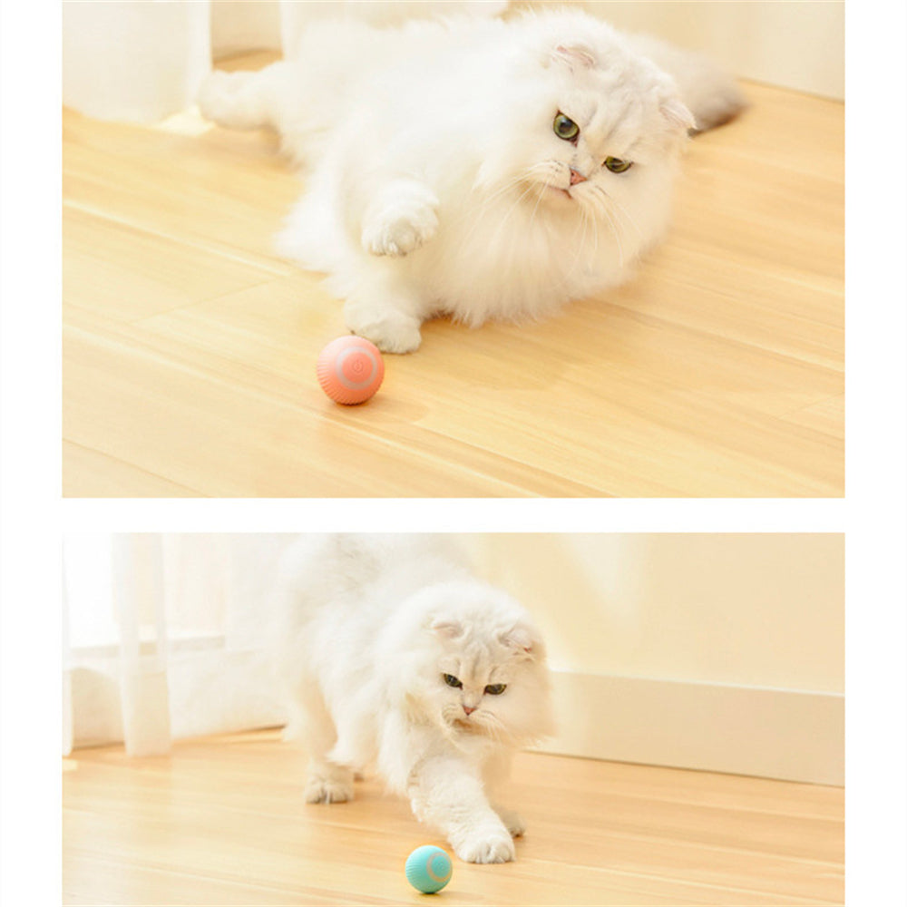 Mint smart rolling ball cat toy