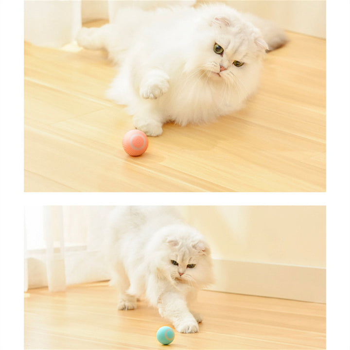 Mint smart rolling ball cat toy