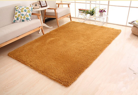 Fluffy beige shaggy rug in living room