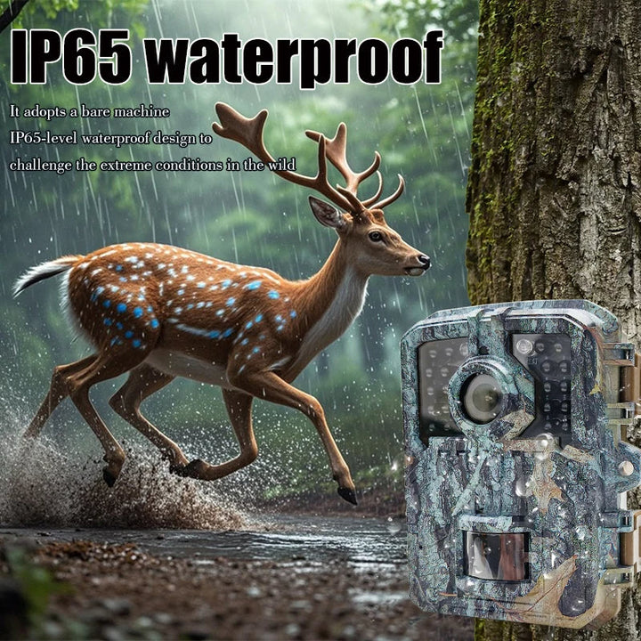 Harwelton™ Mini 16MP Trail Camera with Night Vision and PIR Sensor