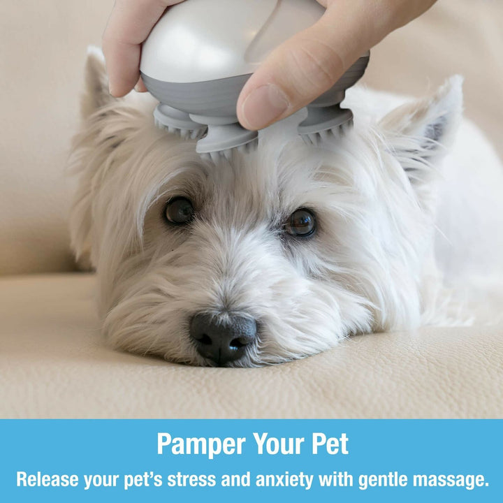 Soft Silicone Pet Massage Brush for Dogs and Cats