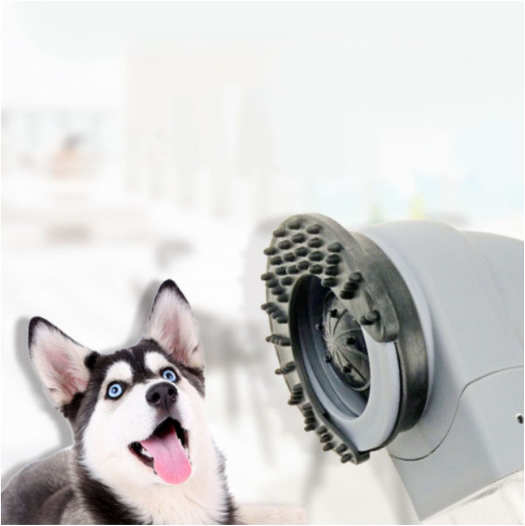Cordless Pet Hair Vacuum for Grooming Dogs and Cats