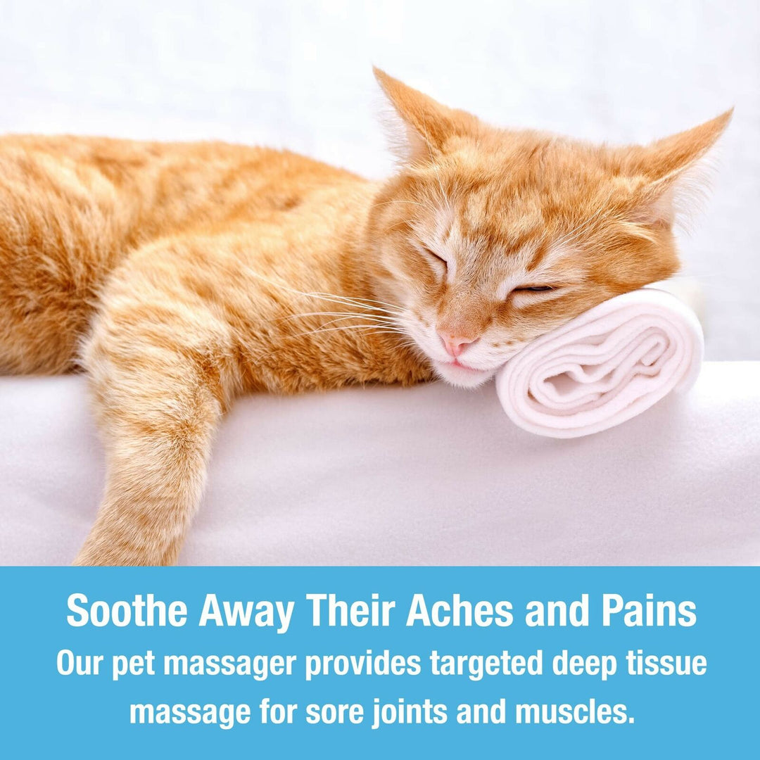 Soft Silicone Pet Massage Brush for Dogs and Cats