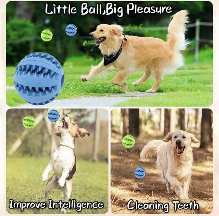Tough Rubber Treat Ball for Dogs and Cats, Chew and Fetch Toy