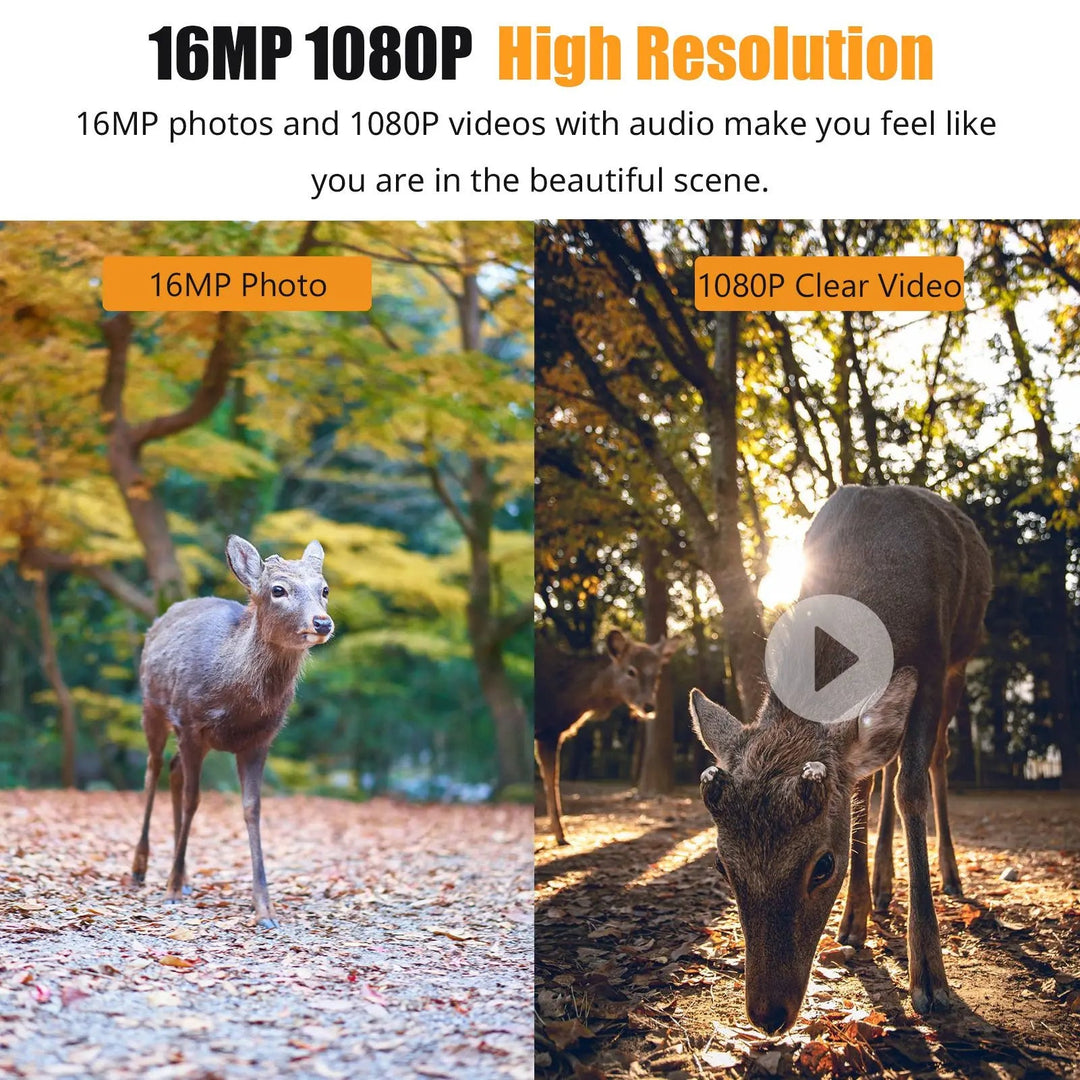 Harwelton™ 16MP Trail Camera with 1080p Video and Infrared Night Vision
