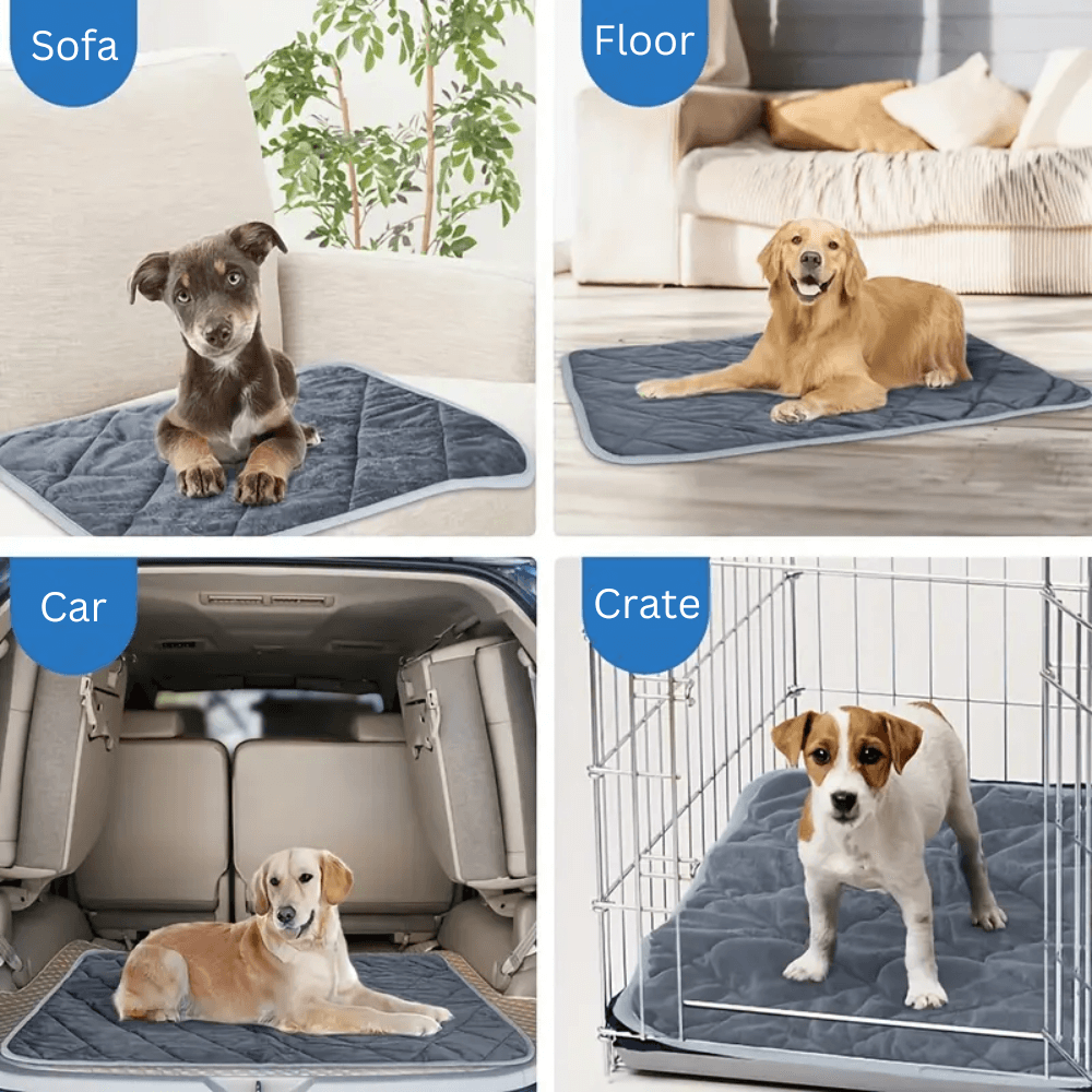 Self-Warming Pet Pad with Non-Slip Base for Dogs and Cats