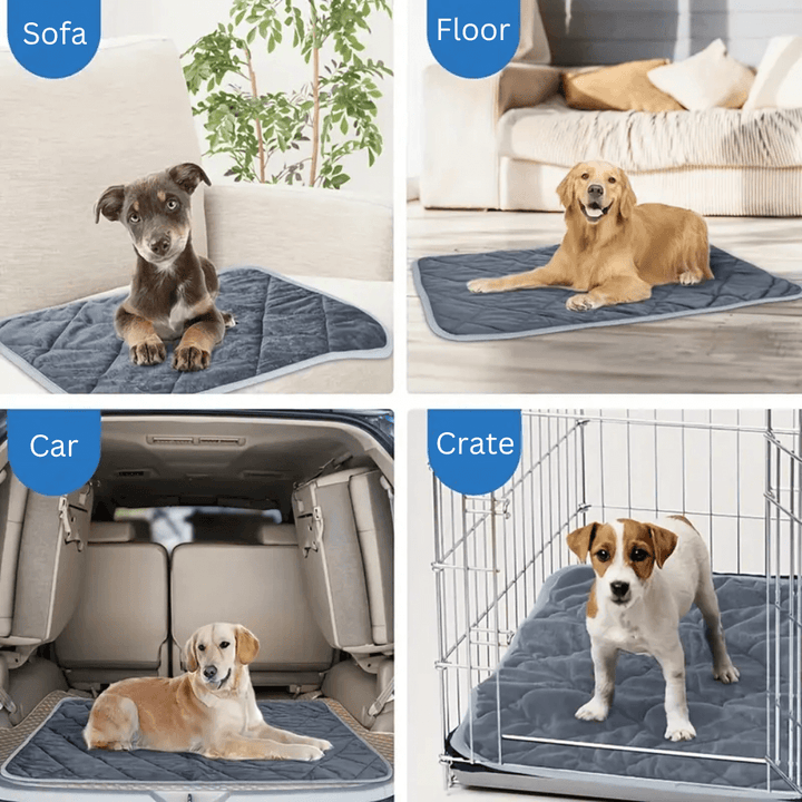 Self-Warming Pet Pad with Non-Slip Base for Dogs and Cats