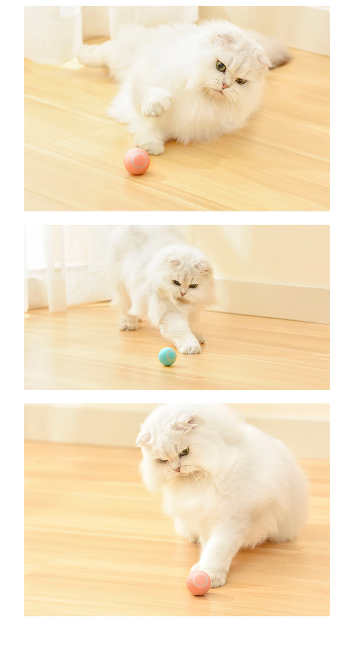 Mint smart rolling ball cat toy