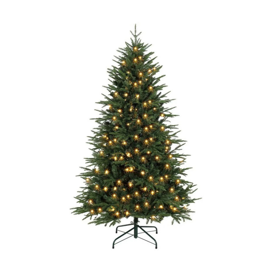 Full green tree with warm lights