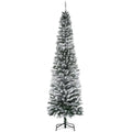 Tall slim snow-flocked tree, unlit