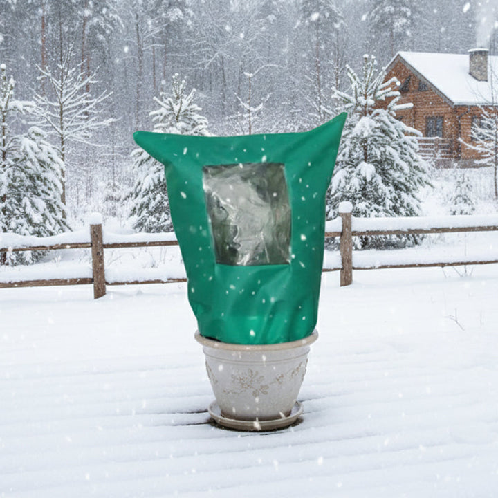 CozyPlant – Protect your plants from winter cold and help them thrive