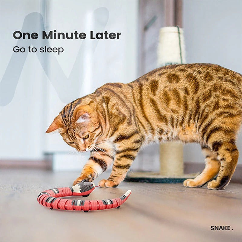 Interactive Robotic Snake Cat Toy with Obstacle Sensors