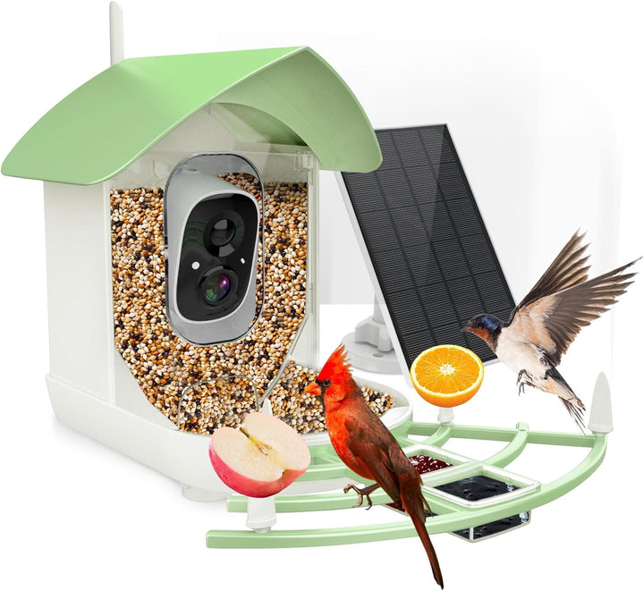 Solar Smart Bird Feeder Camera with AI Bird Recognition