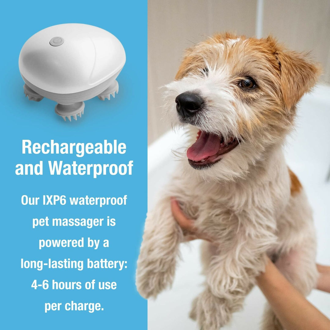 Soft Silicone Pet Massage Brush for Dogs and Cats