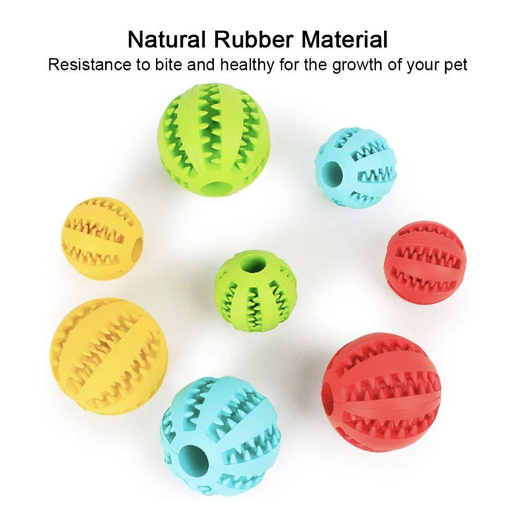 Tough Rubber Treat Ball for Dogs and Cats, Chew and Fetch Toy