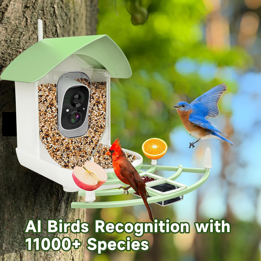 Solar Smart Bird Feeder Camera with AI Bird Recognition
