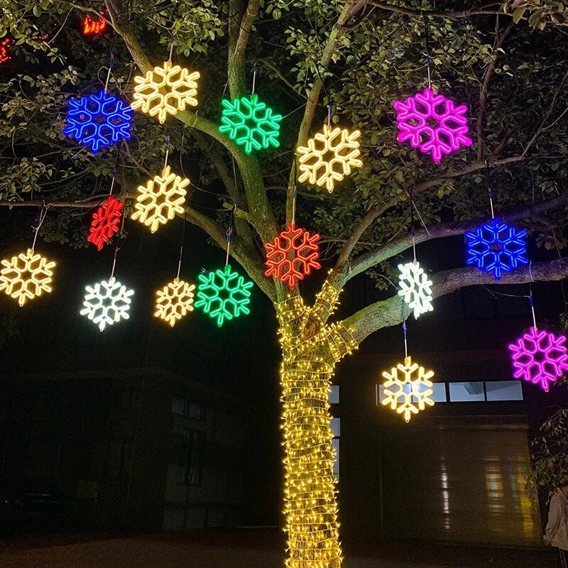 Frosted Snowflake LED Light for Indoor and Outdoor Use