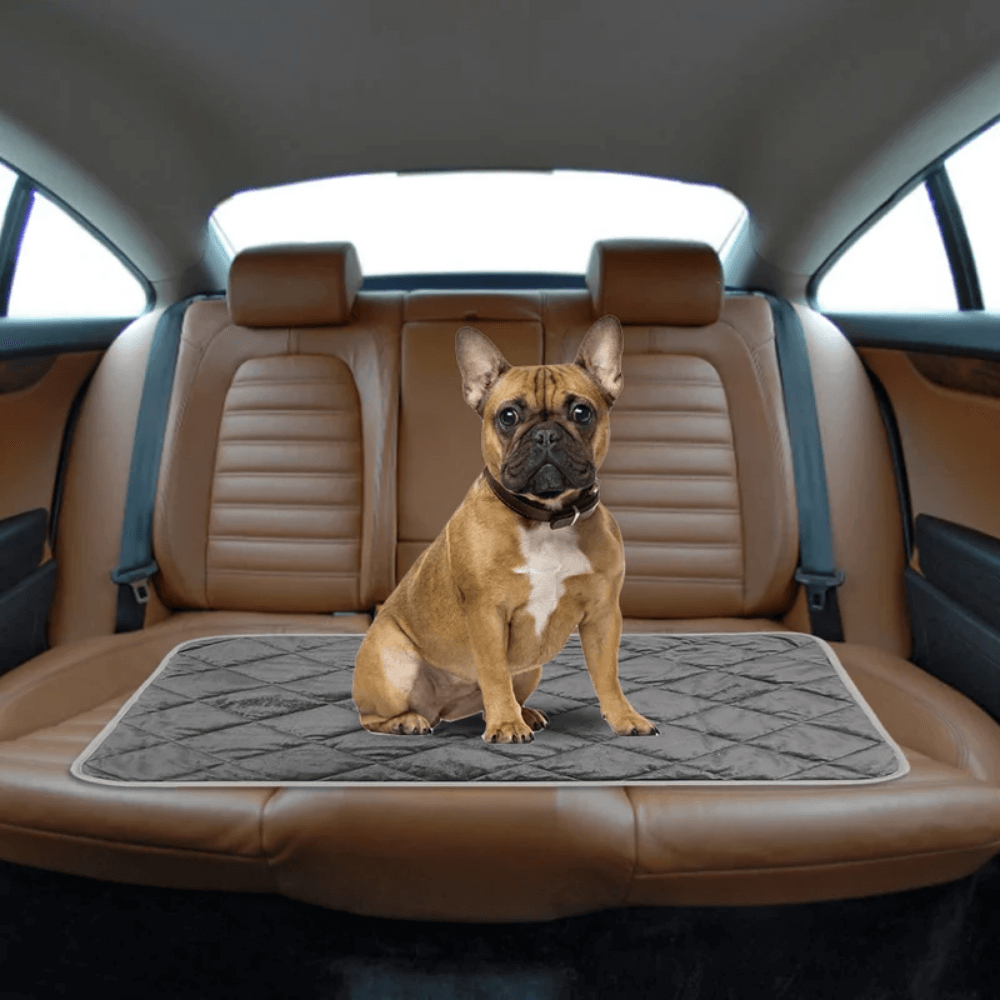 Self-Warming Pet Pad with Non-Slip Base for Dogs and Cats