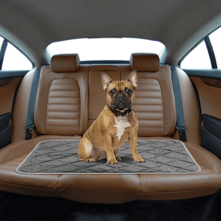 Self-Warming Pet Pad with Non-Slip Base for Dogs and Cats