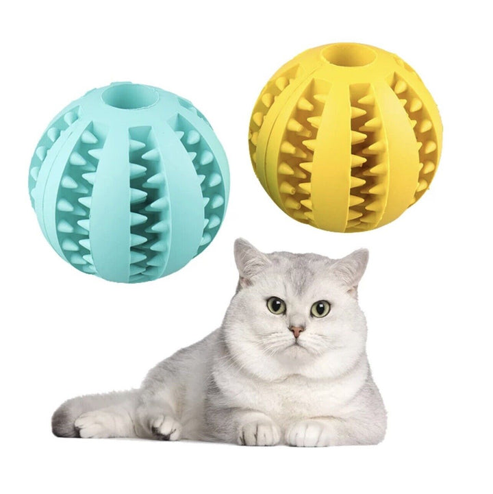 Tough Rubber Treat Ball for Dogs and Cats, Chew and Fetch Toy