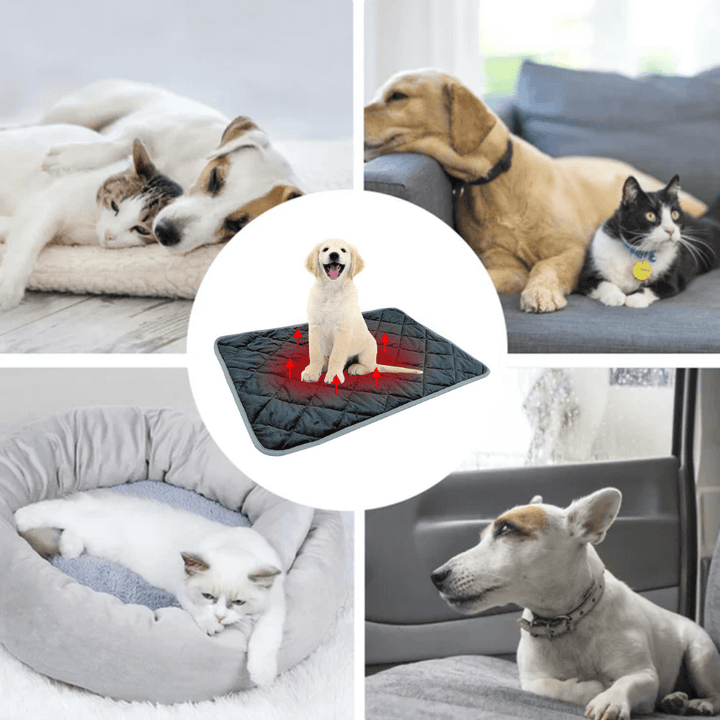 Self-Warming Pet Pad with Non-Slip Base for Dogs and Cats