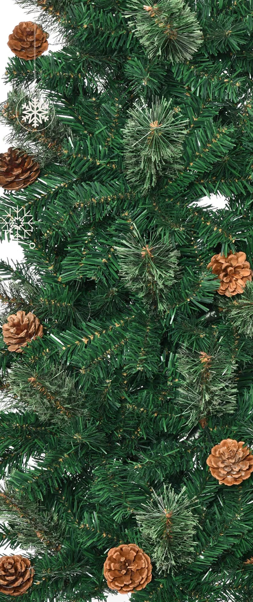 Tall slim tree with pine cones