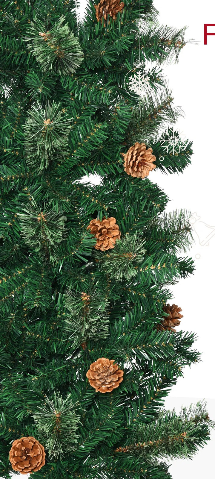 Tall slim tree with pine cones