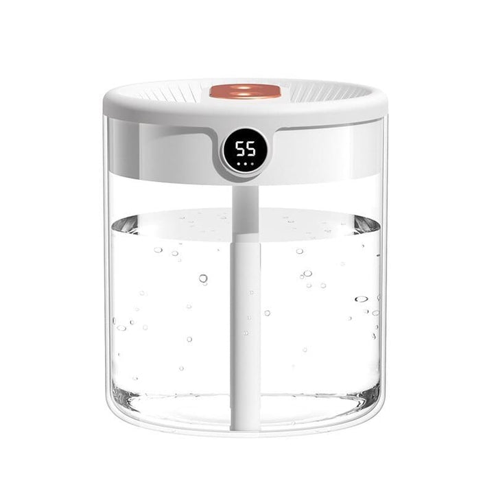 2-Litre USB Humidifier with Twin Mist Outlets and Digital Display