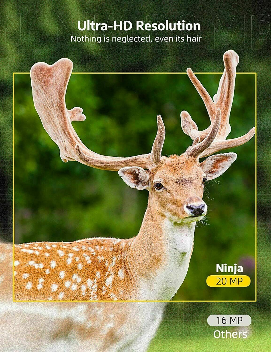 Wireless HD Trail Camera with Night Vision &amp; Motion Sensor