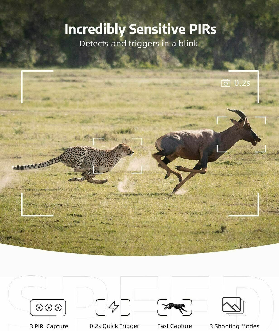 Wireless HD Trail Camera with Night Vision &amp; Motion Sensor