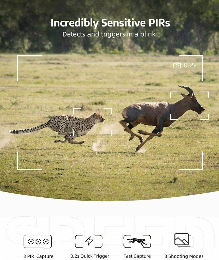 Wireless HD Trail Camera with Night Vision &amp; Motion Sensor