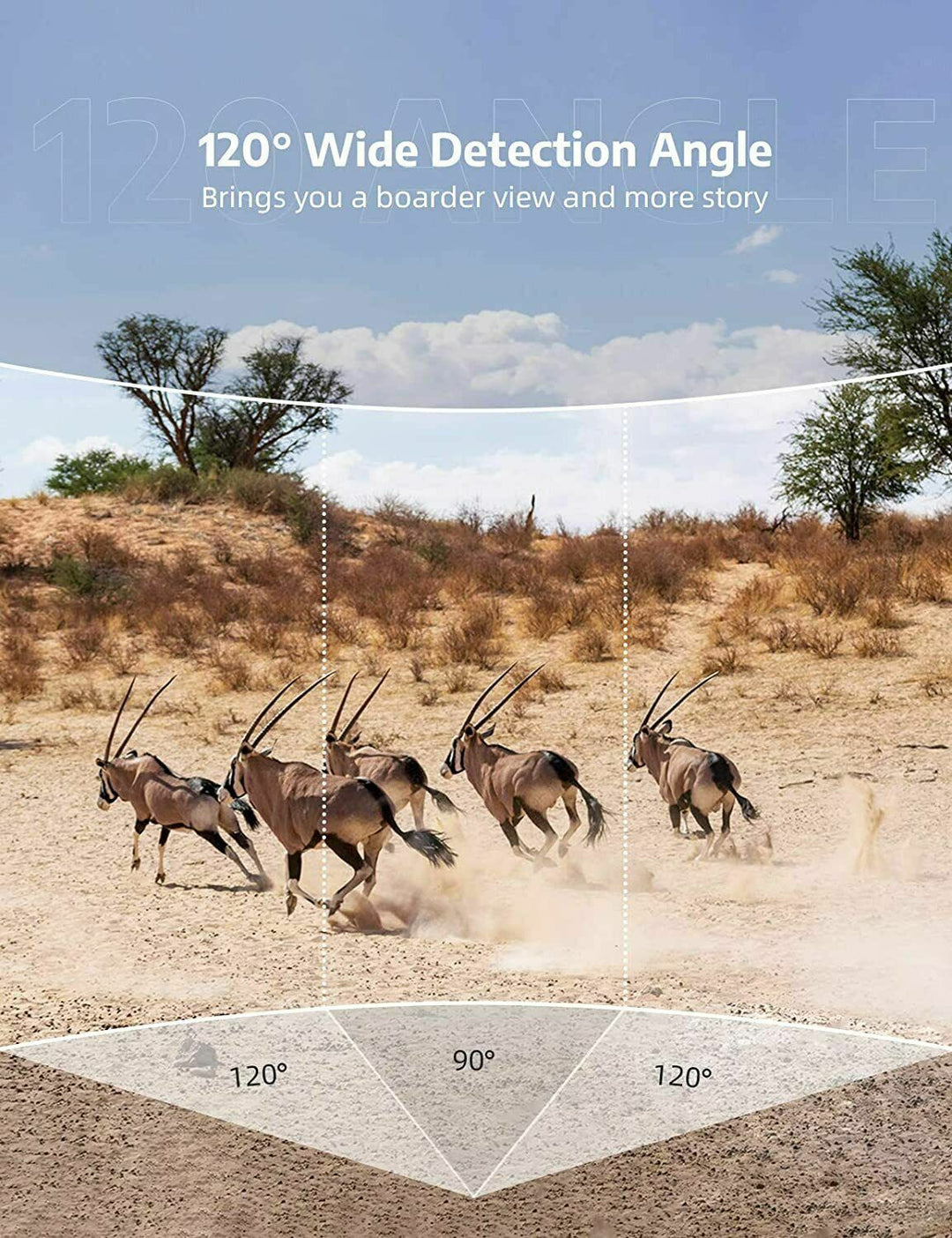 Wireless HD Trail Camera with Night Vision &amp; Motion Sensor