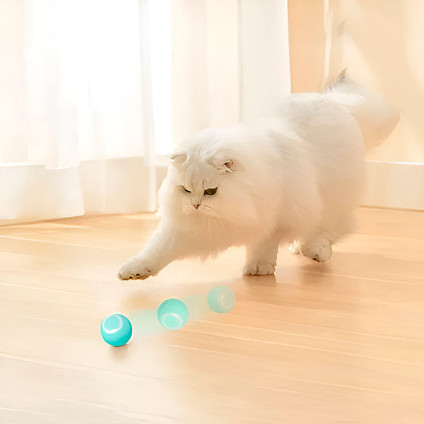 Harwelton™ Automatic Rolling Pet Ball for Dogs and Cats, USB Rechargeable