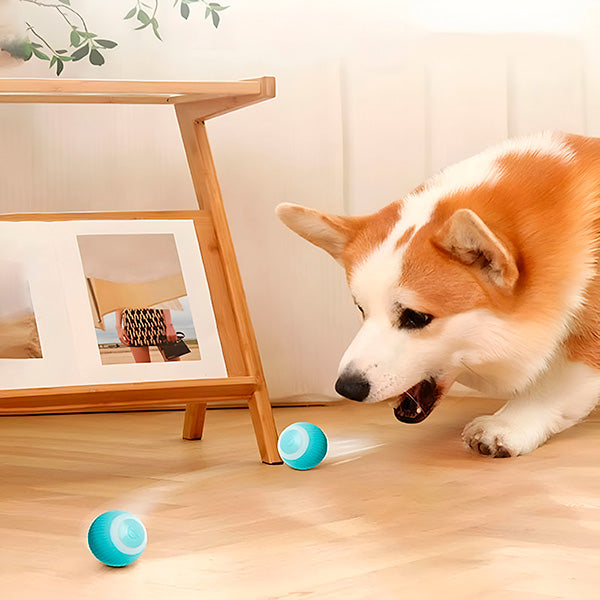 Harwelton™ Automatic Rolling Pet Ball for Dogs and Cats, USB Rechargeable