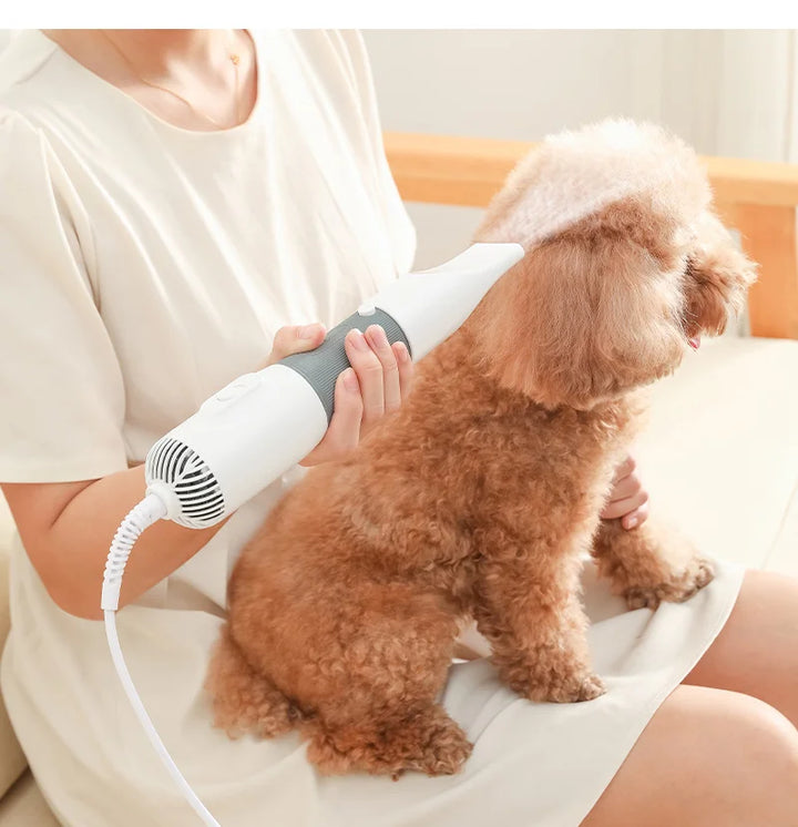 3-in-1 Dog Hair Dryer and Grooming Brush with 3 Heat Settings