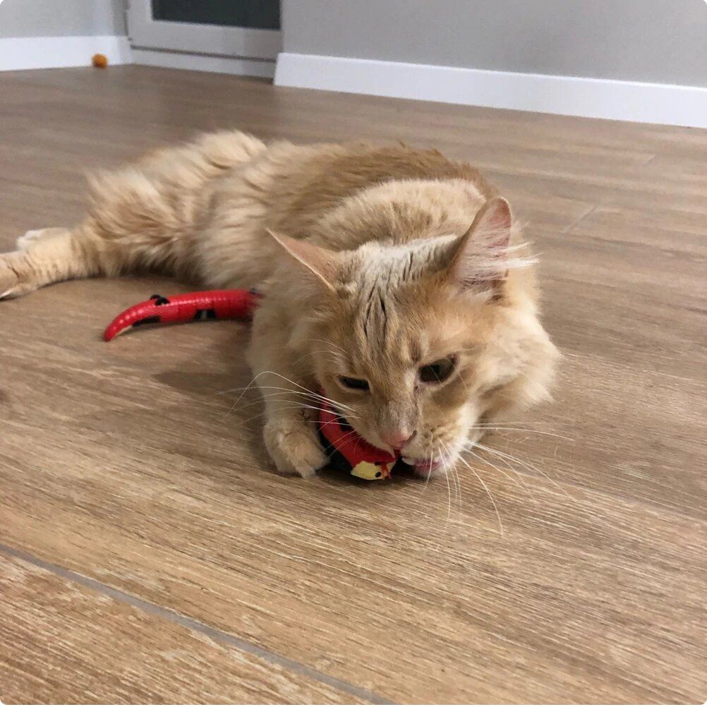 Interactive Snake Cat Toy with Smart Obstacle Sensor