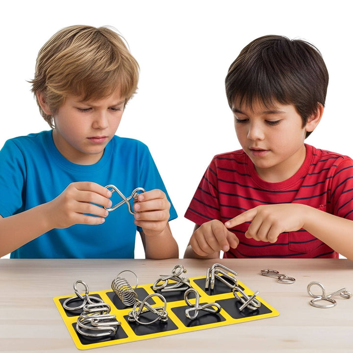 Metal Wire Puzzle Set of 8 Brain Teasers, Easy to Expert