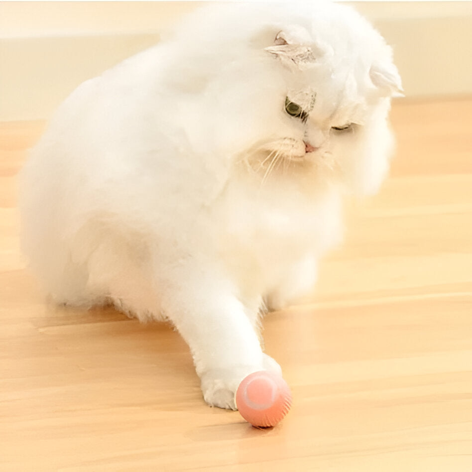 Interactive Rolling Cat Toy Ball with Smart Obstacle Sensor
