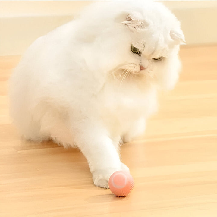 Interactive Rolling Cat Toy Ball with Smart Obstacle Sensor