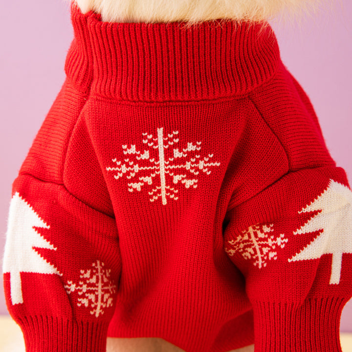 Small dog in knitted Christmas jumper