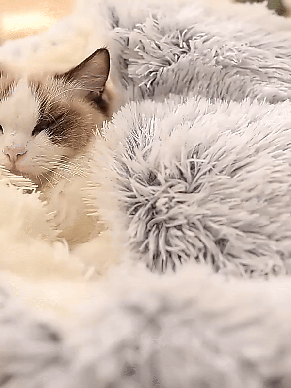 Calming Cave Dog Bed with Snug Hooded Nest Design