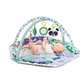 Harwelton™ Baby Play Gym and Activity Mat with Arches and Hanging Toys