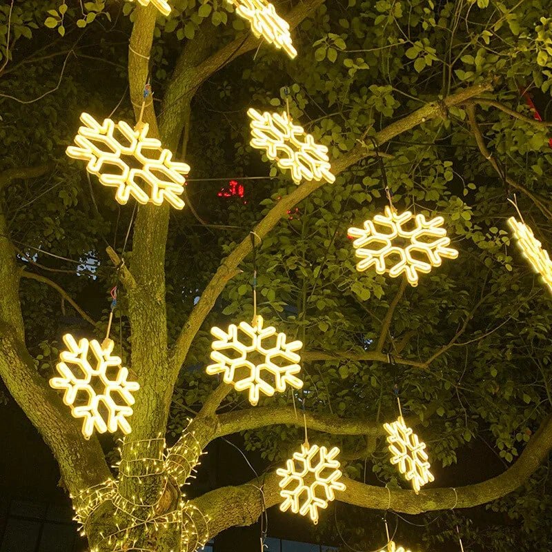 Frosted Snowflake LED Light for Indoor and Outdoor Use