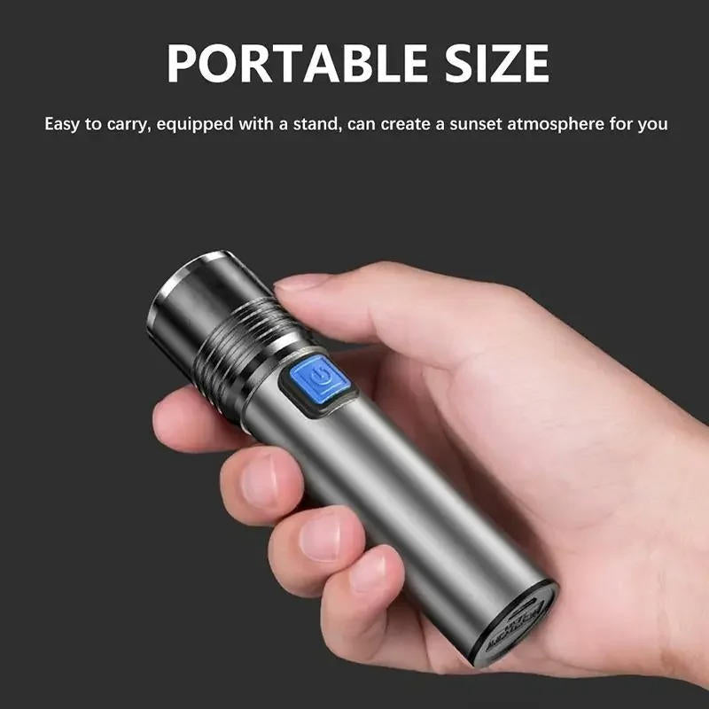 395 nm UV Torch with Zoom for Finding Pet Stains