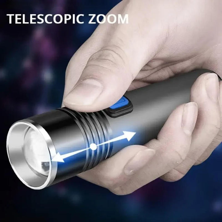 395 nm UV Torch with Zoom for Finding Pet Stains