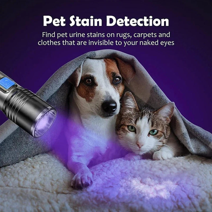 395 nm UV Torch with Zoom for Finding Pet Stains