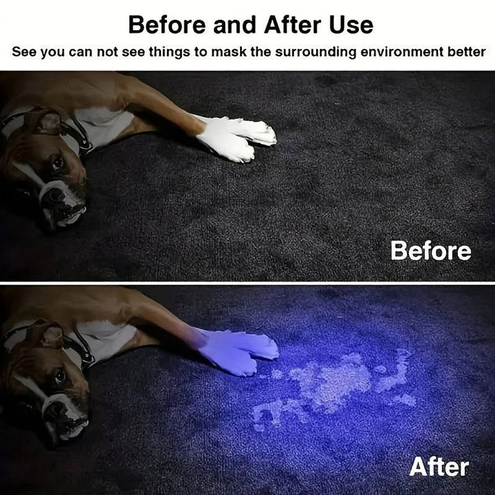 Rechargeable UV Torch with Zoom to Reveal Hidden Stains