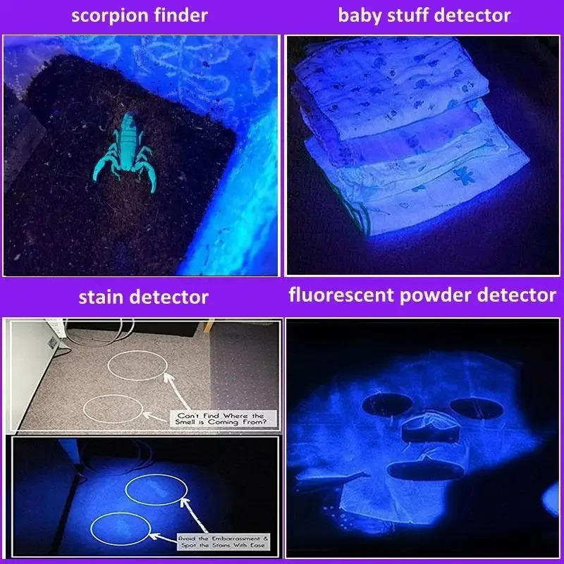 395 nm UV Torch with Zoom for Finding Pet Stains